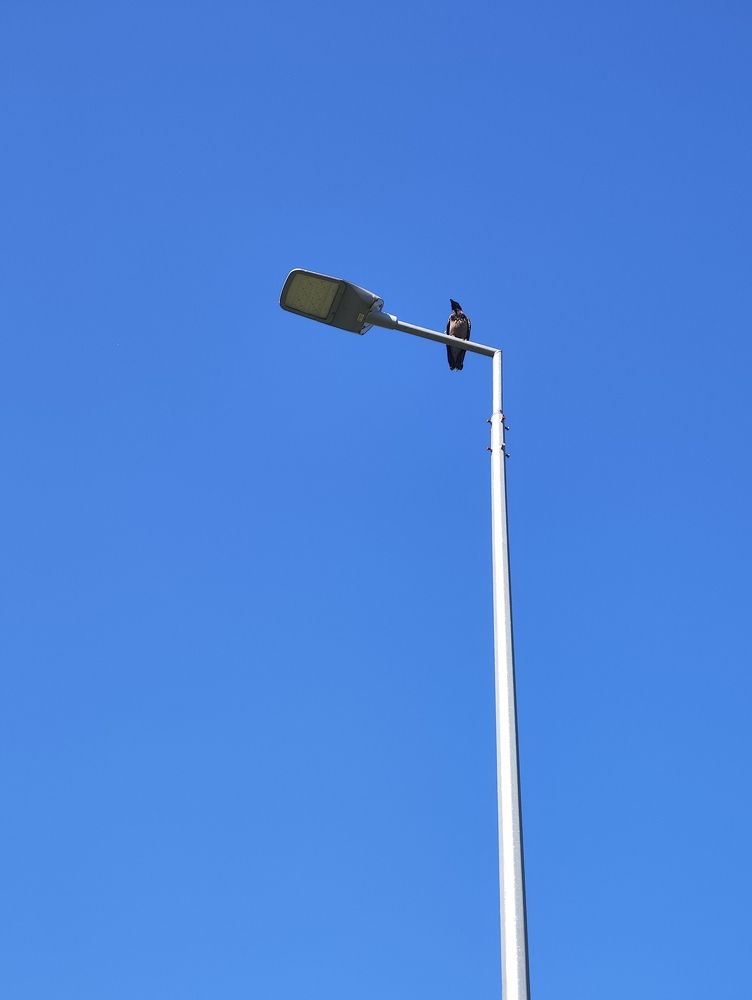 Photograph by Светлана Захарова