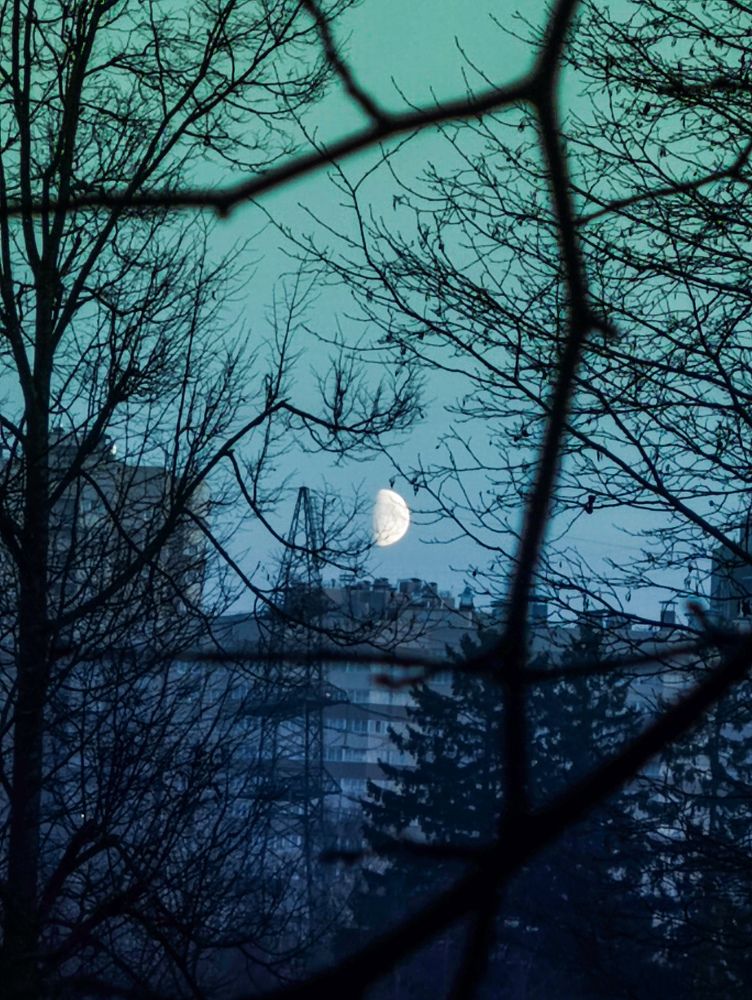 Photograph by Светлана Захарова