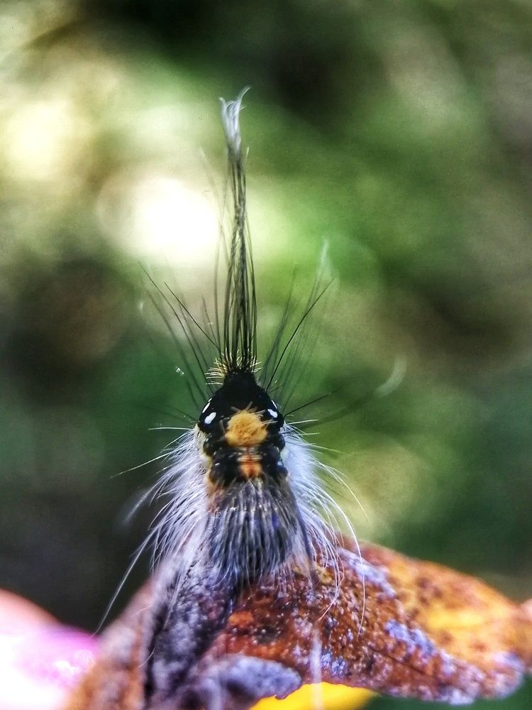 Фотография автора НАТАЛЬЯ СЕВЕР