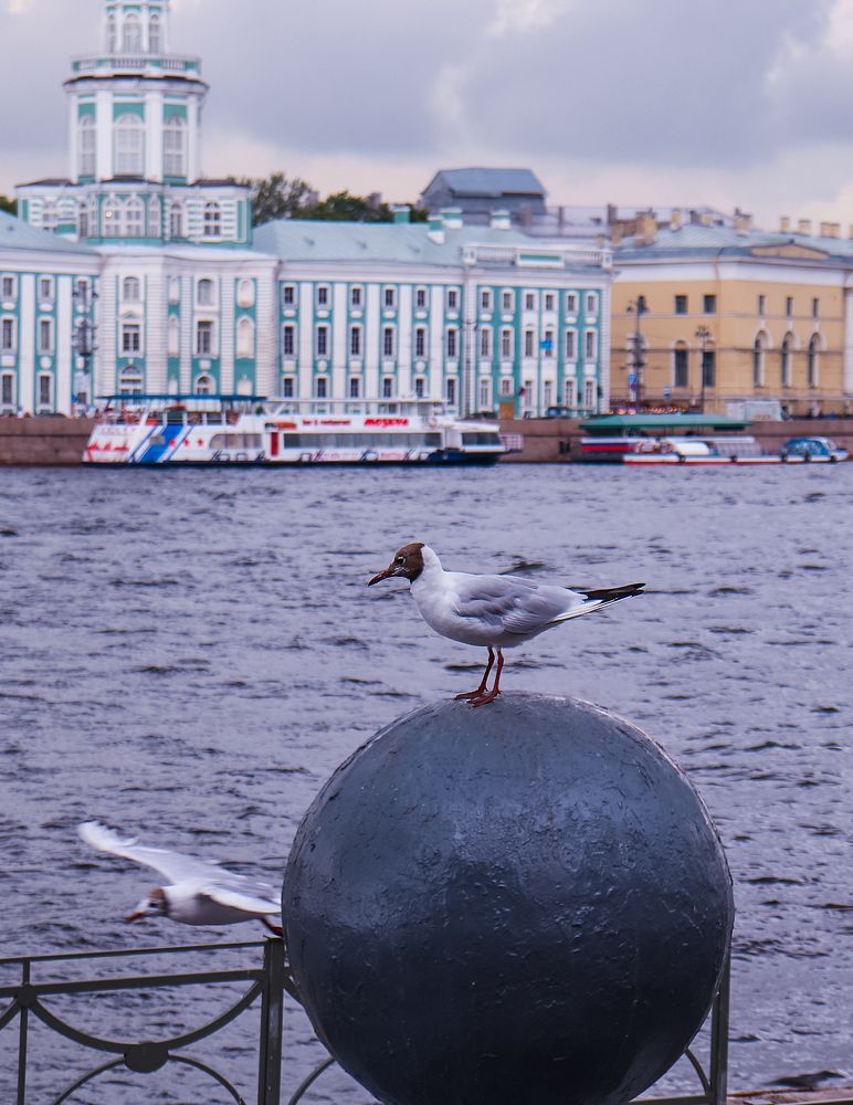 Photograph by Анастасия Семилетова