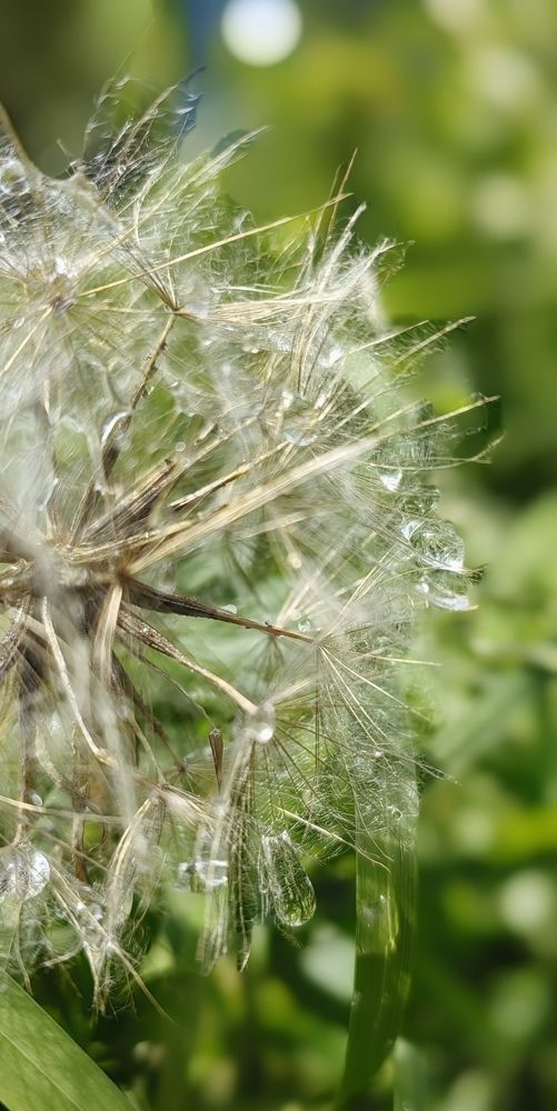 Photograph by Анастасия Семилетова