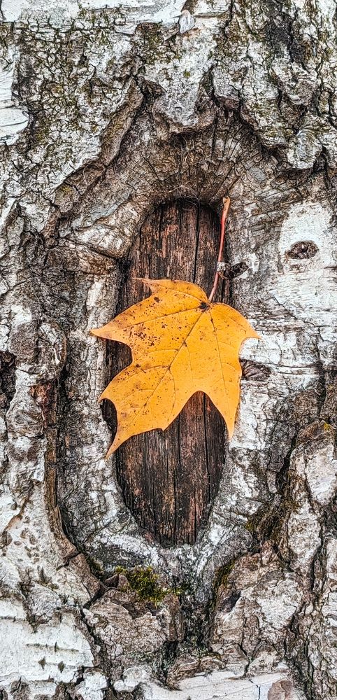 Photograph by Анастасия Семилетова