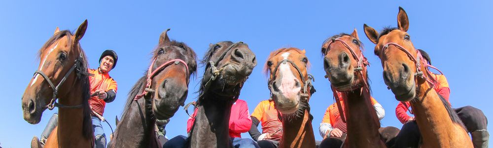 Фотография автора Владимир Пронин