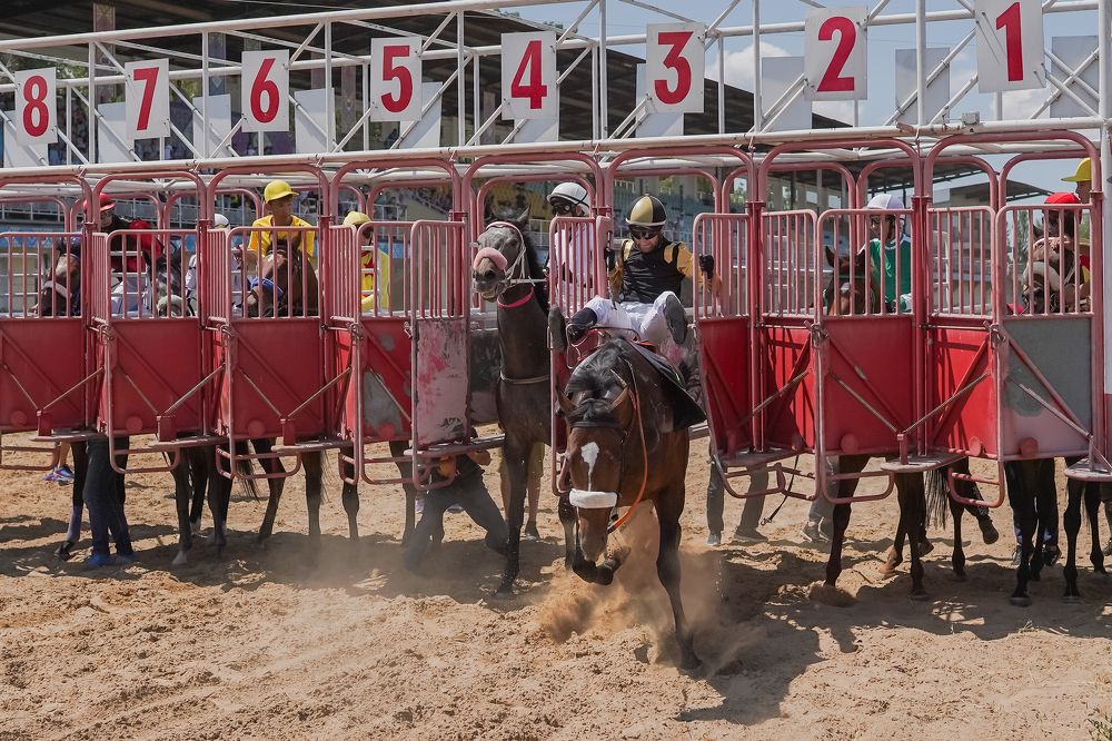 Фотография автора Владимир Пронин