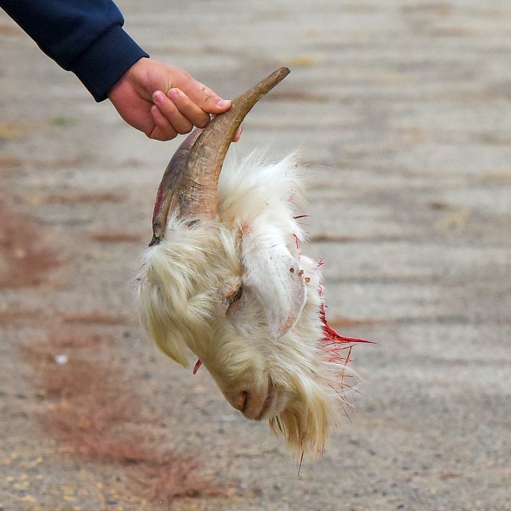 Фотография автора Владимир Пронин
