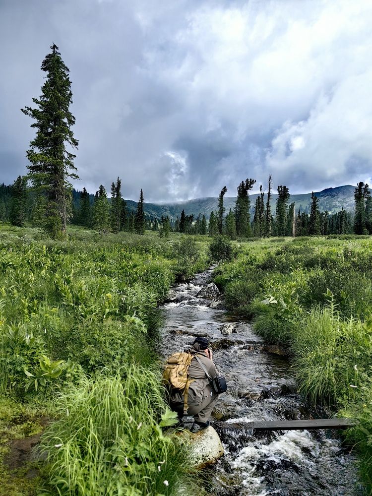 Photograph by OLGA MIKHNEVICH