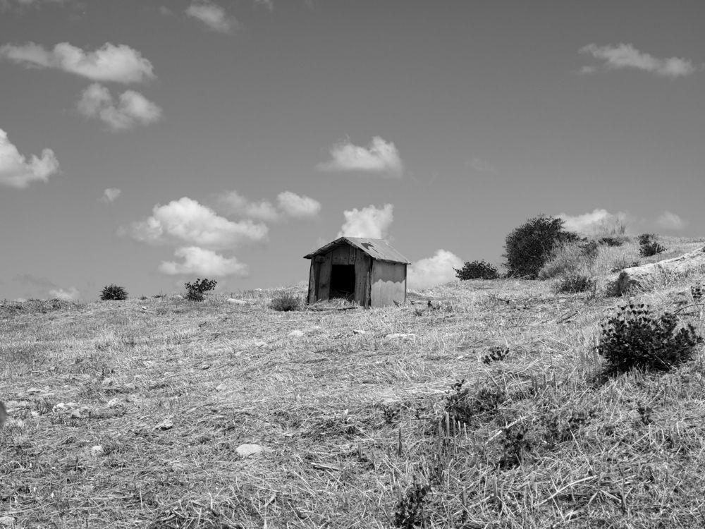 Фотография автора Боков Дмитрий