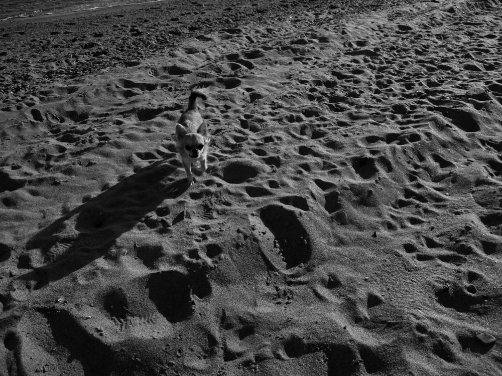 Фотография автора Боков Дмитрий