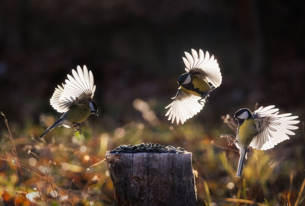 Photograph by Загруев Михаил