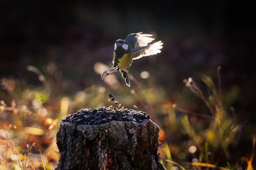 Photograph by Загруев Михаил