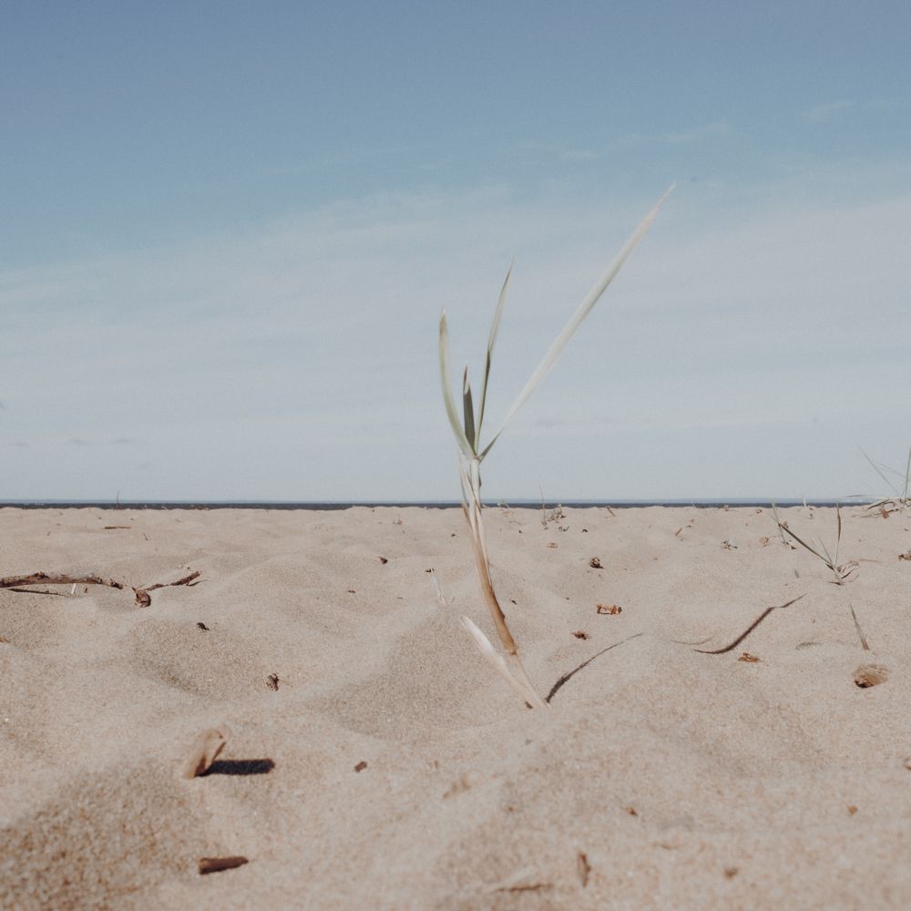 Photograph by Илья Мельников