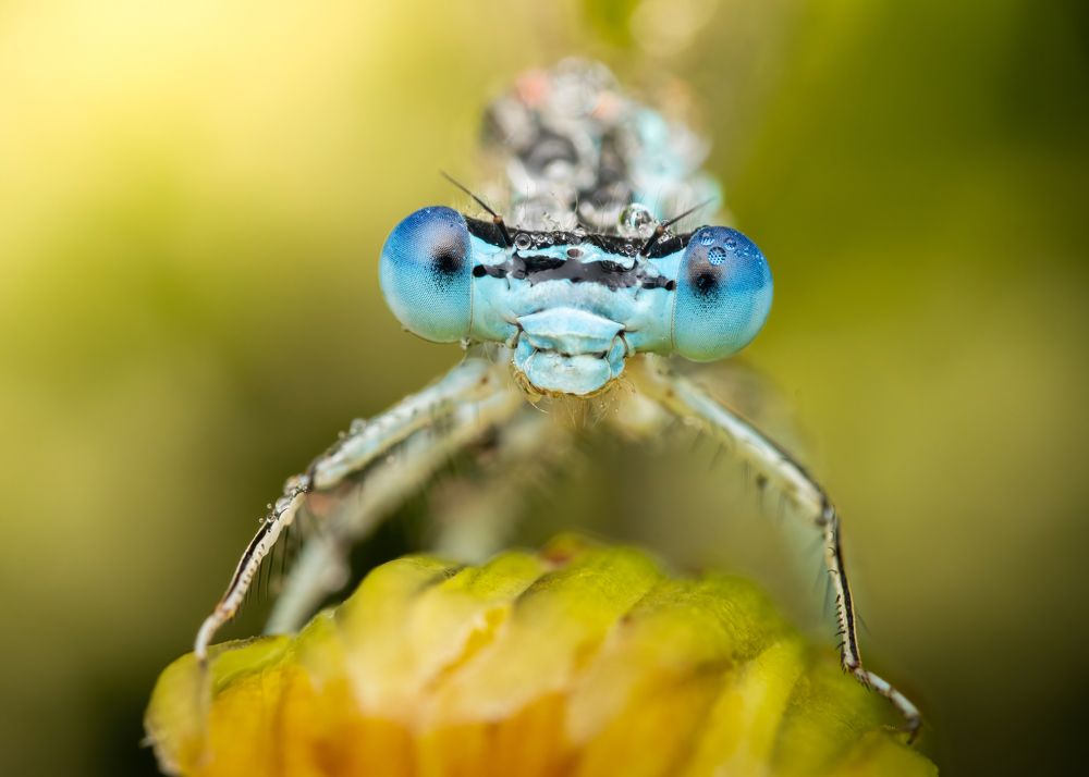 Photograph by Michael Gerhold