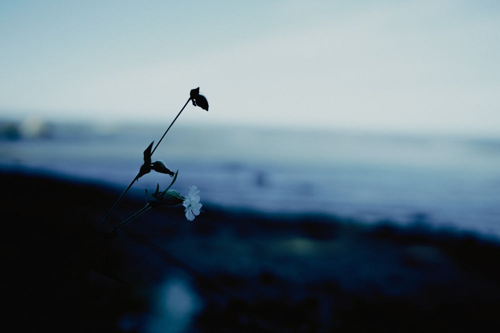 Photograph by Илья Мельников