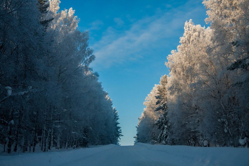 Photograph by Иван Овчинников