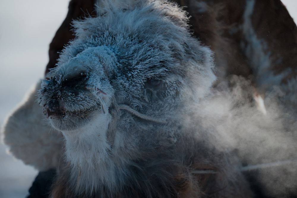 Photograph by Chen Chen