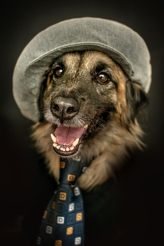 Photograph by Альфия Агзами