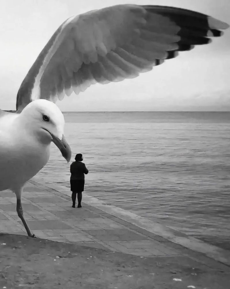 Photograph by Георгий Павлов