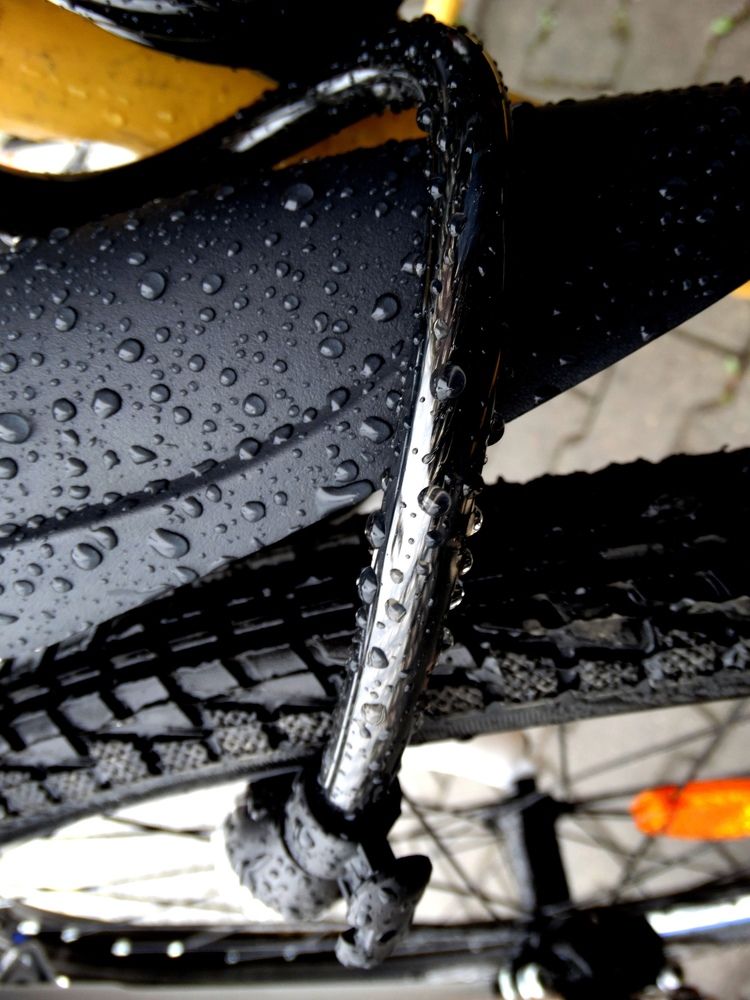 Photograph by Ирина Половцева