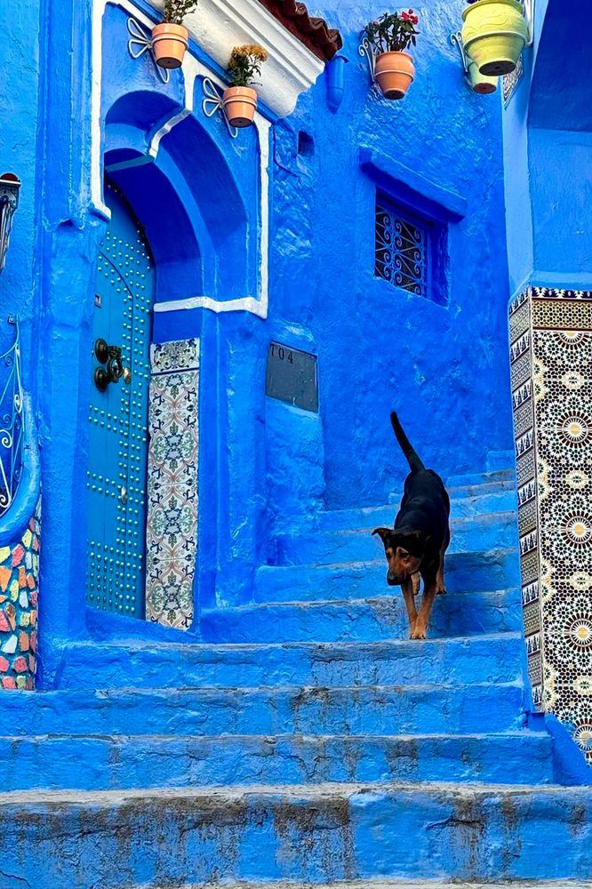 Photograph by Otto Acosta