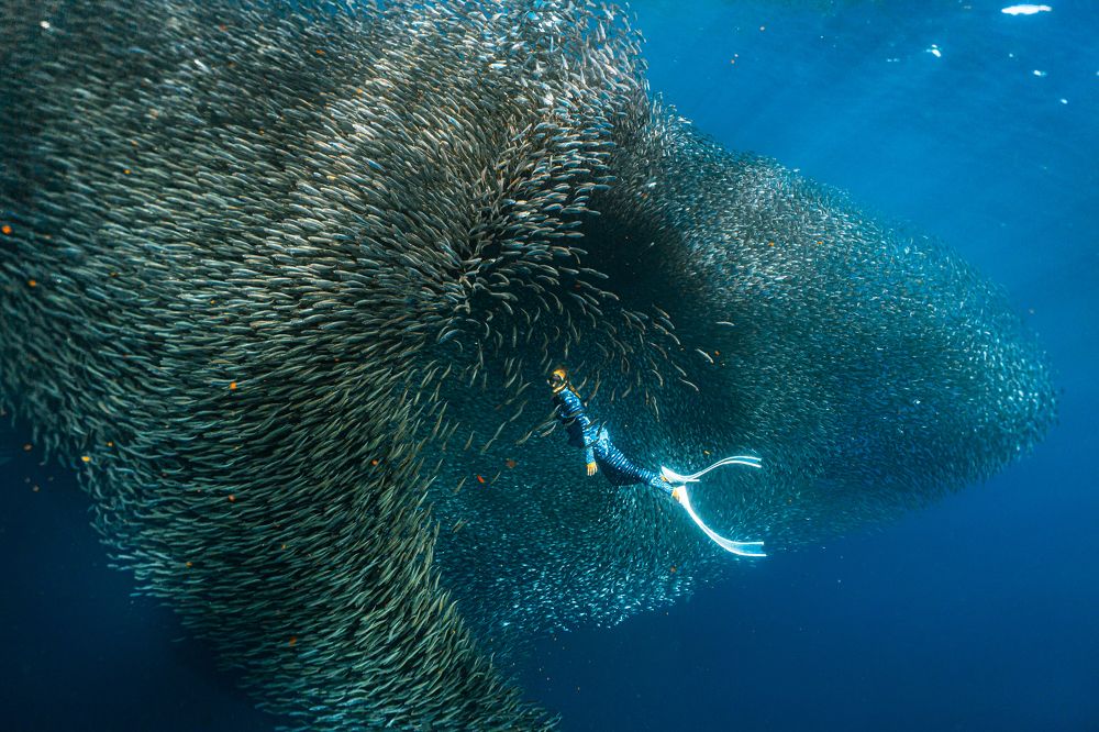 Photograph by Дарья