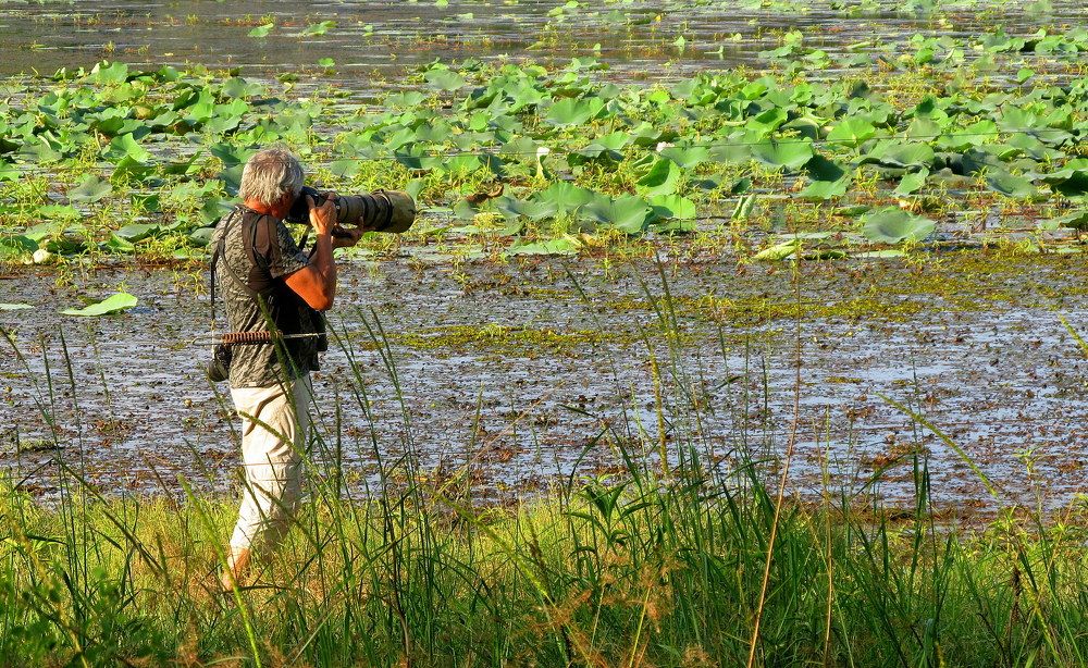Photograph by Жанна Нечаева