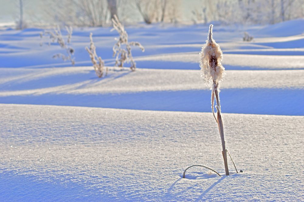 Photograph by Панюшкин Андрей