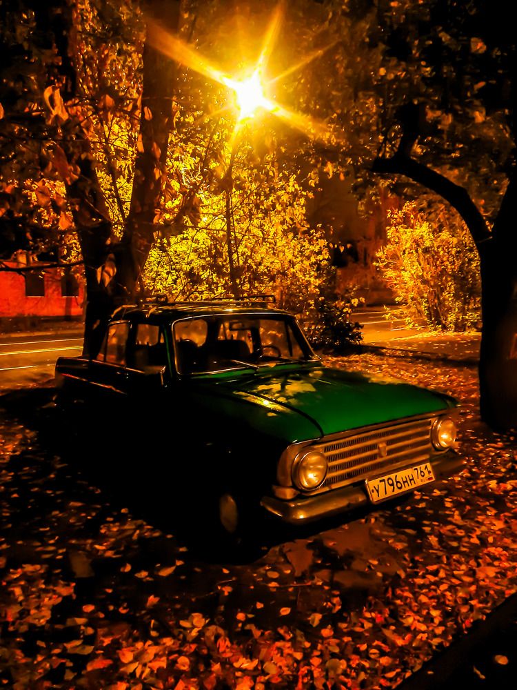 Фотография автора Дарья Новгородцева
