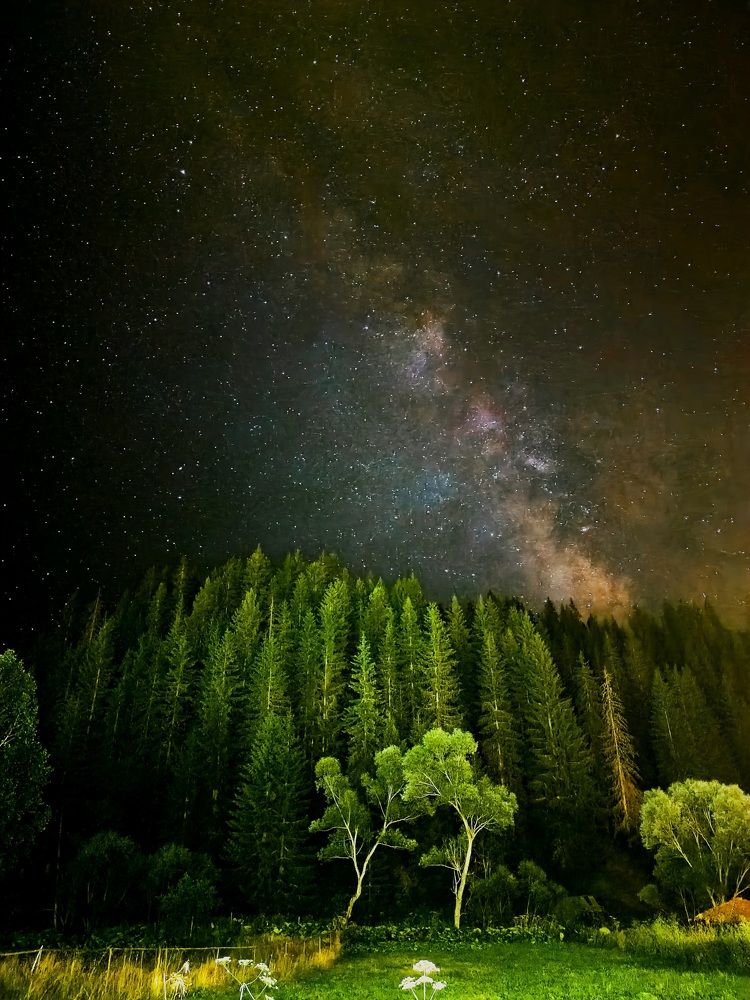 Photograph by Georgi Nanchev