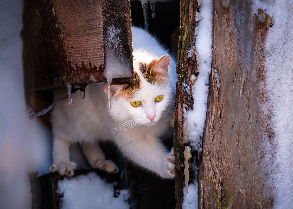 Photograph by Наталья Максимова