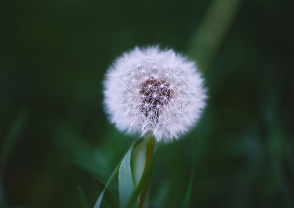 Photograph by Юлия Ковальчук