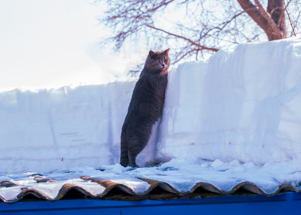 Photograph by Наталья Максимова