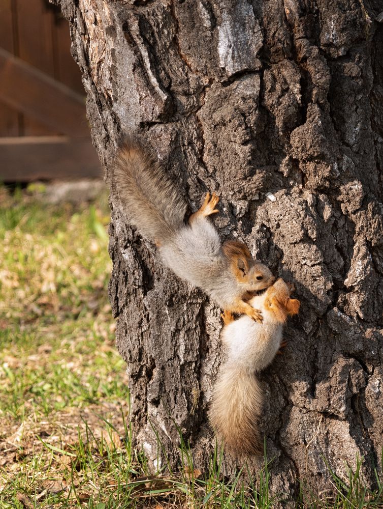 Photograph by Евгения Гловацкая