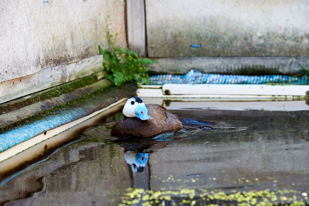 Photograph by Евгения Гловацкая