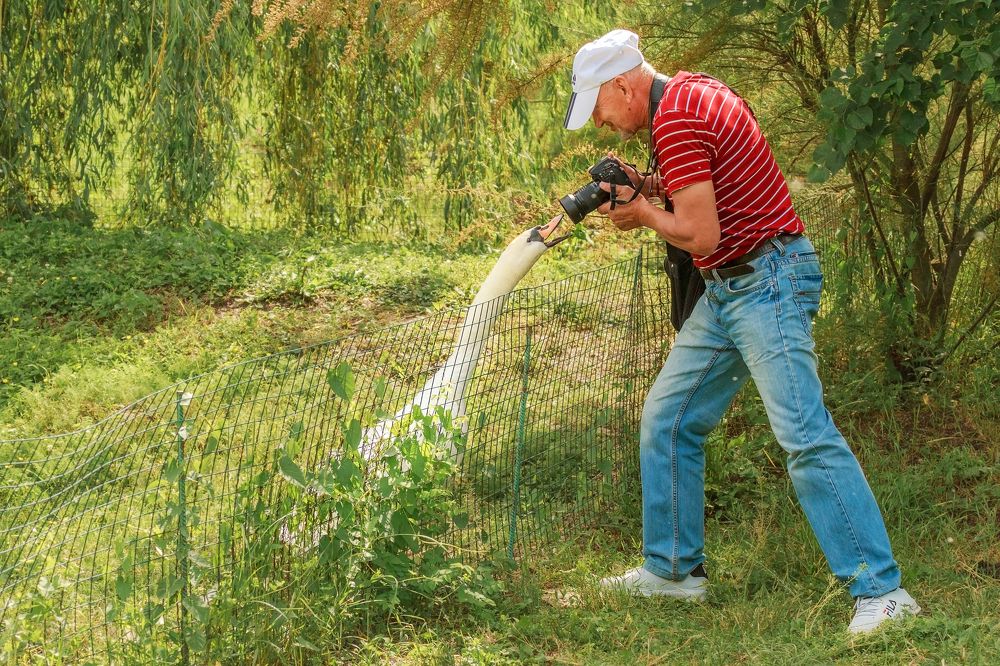 А фотки будут?