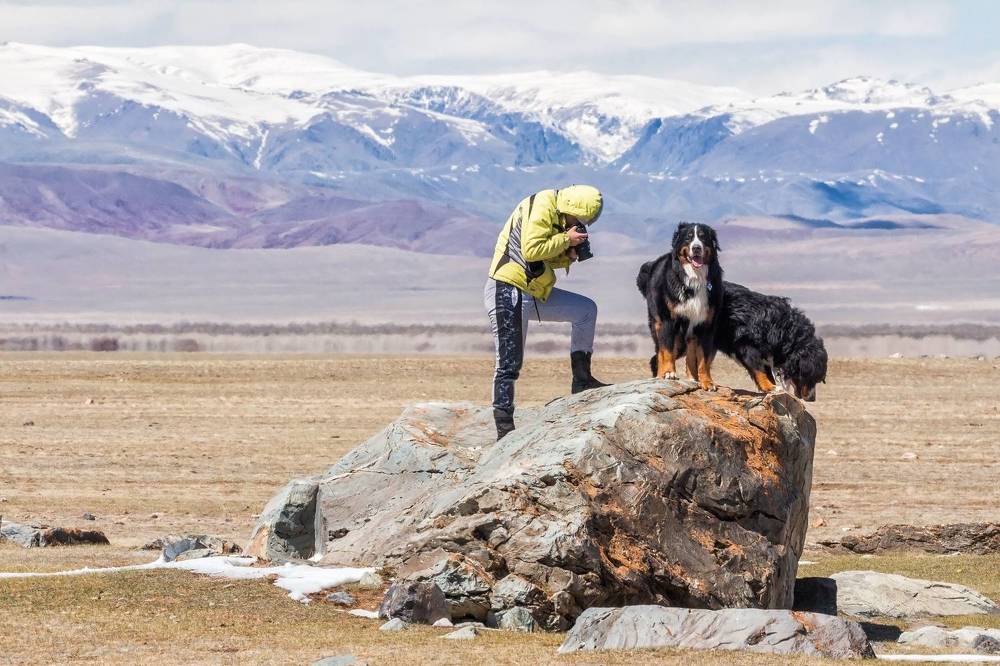 Photograph by Галина Шепелева