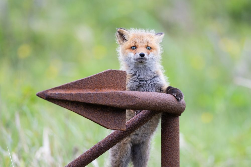 Photograph by Utsunomiya Ryo