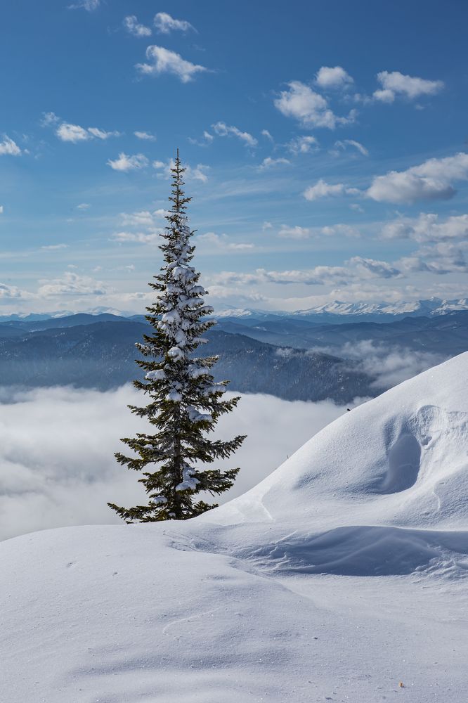 Photograph by Елена Павлова