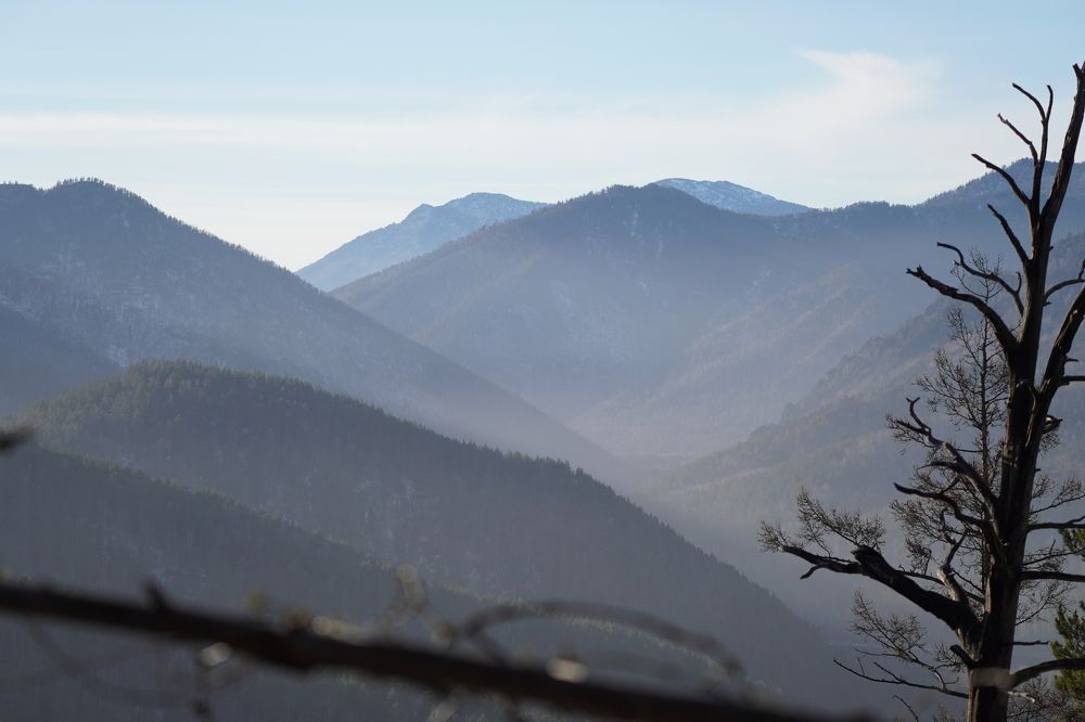 Photograph by Дарья Ринас