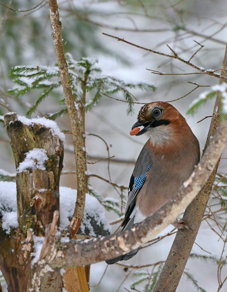 Фотография автора Садыков