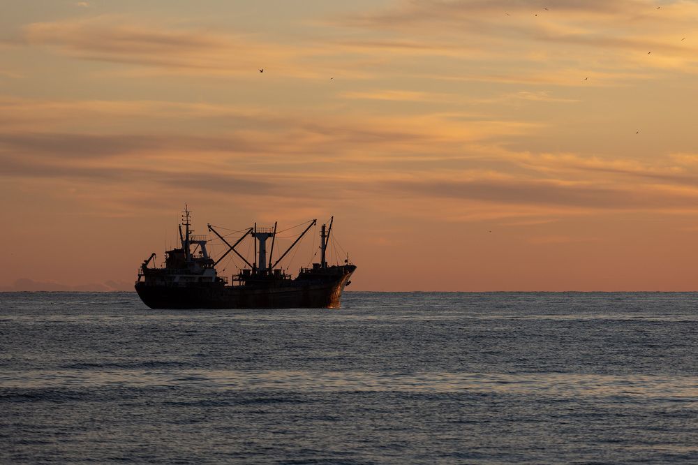 Фотография автора Fallen Angel