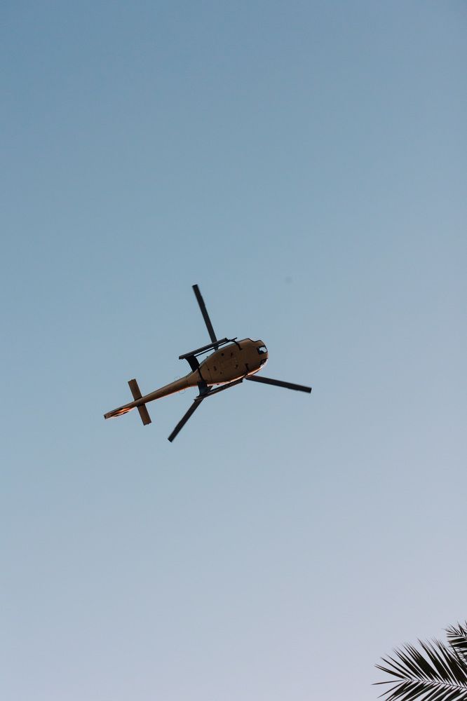 Фотография автора Fallen Angel