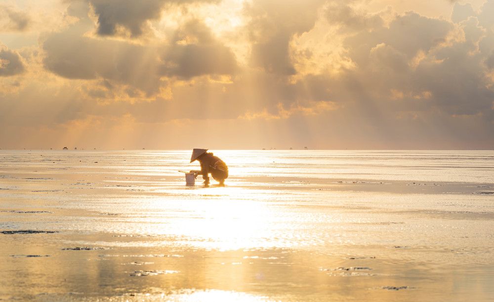 Photograph by Duc Nguyen