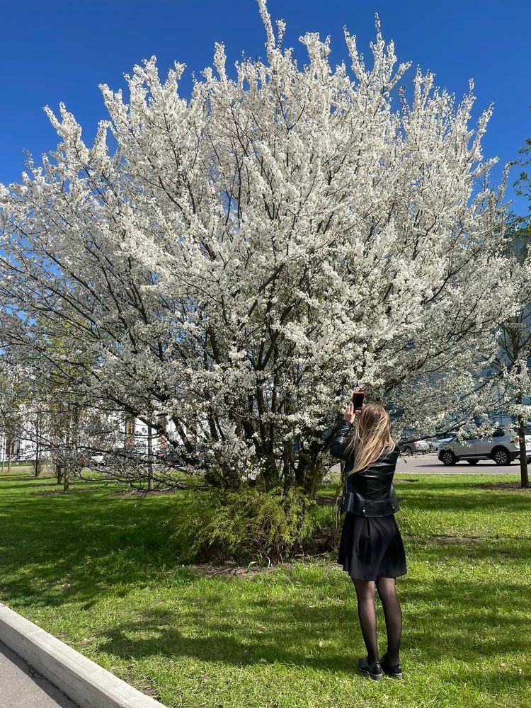 Фотография автора Юлия Косинова