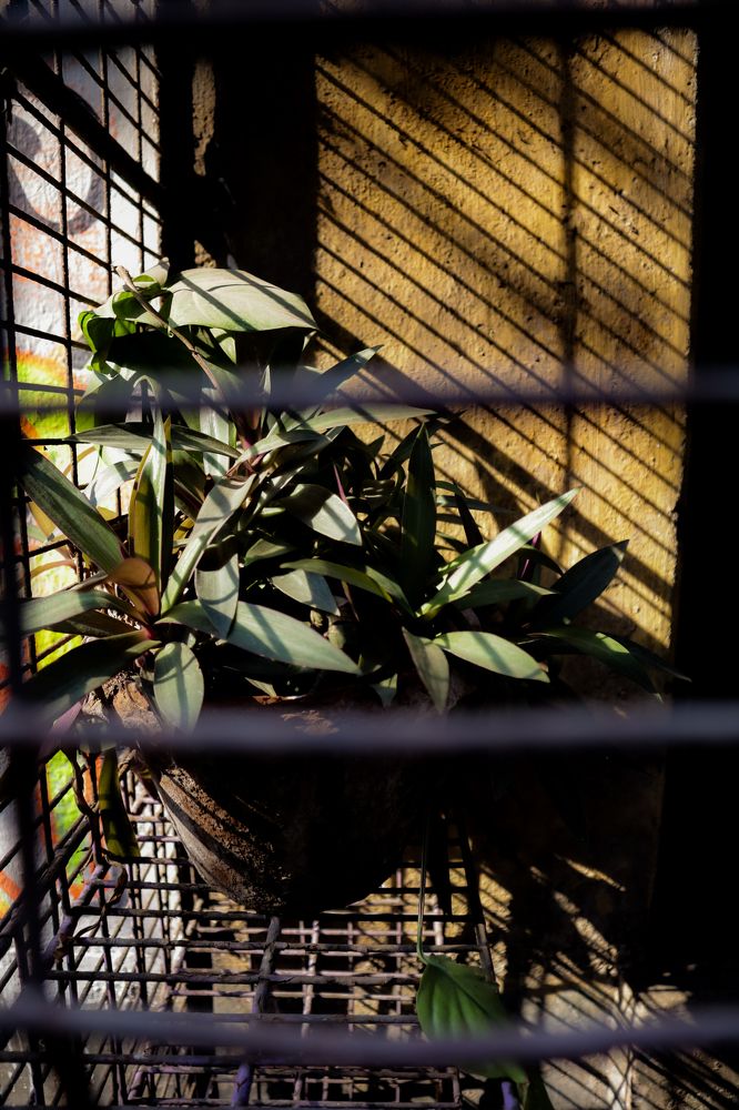 Фотография автора Debapriya Dasgupta