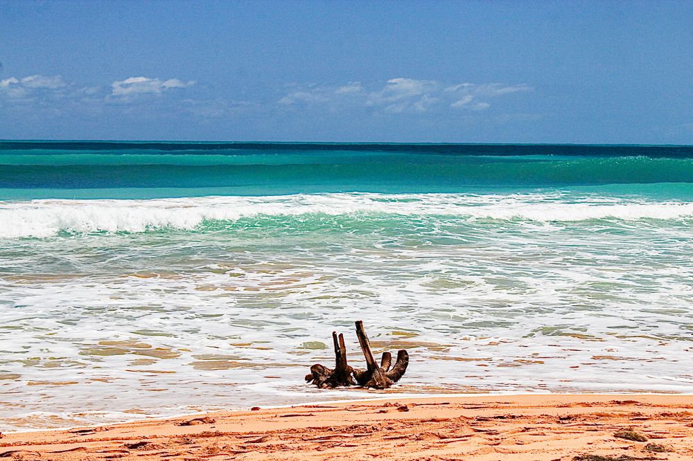 Фотография автора Jose Otero