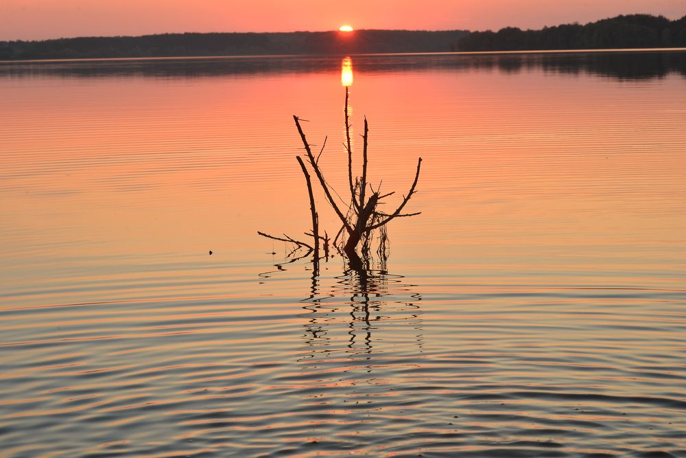 Photograph by Андрей Бондаренко