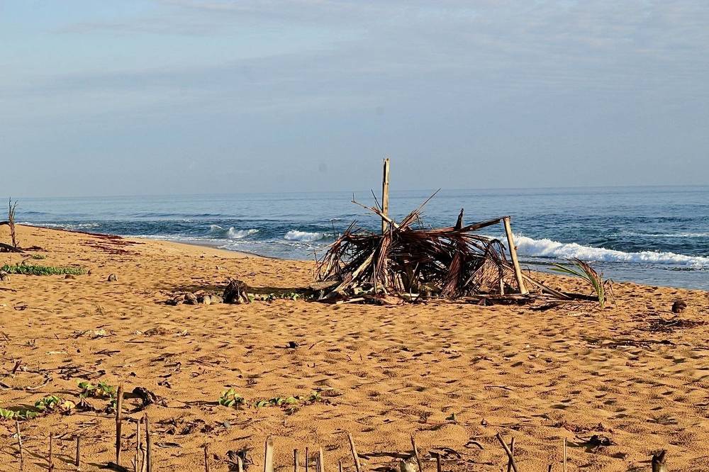 Фотография автора Jose Otero