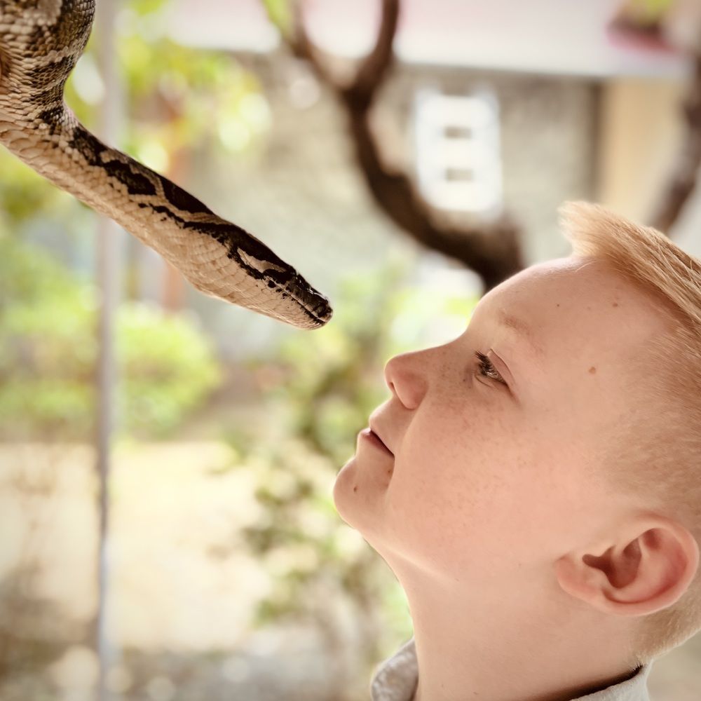 Photograph by Mariia Gureva