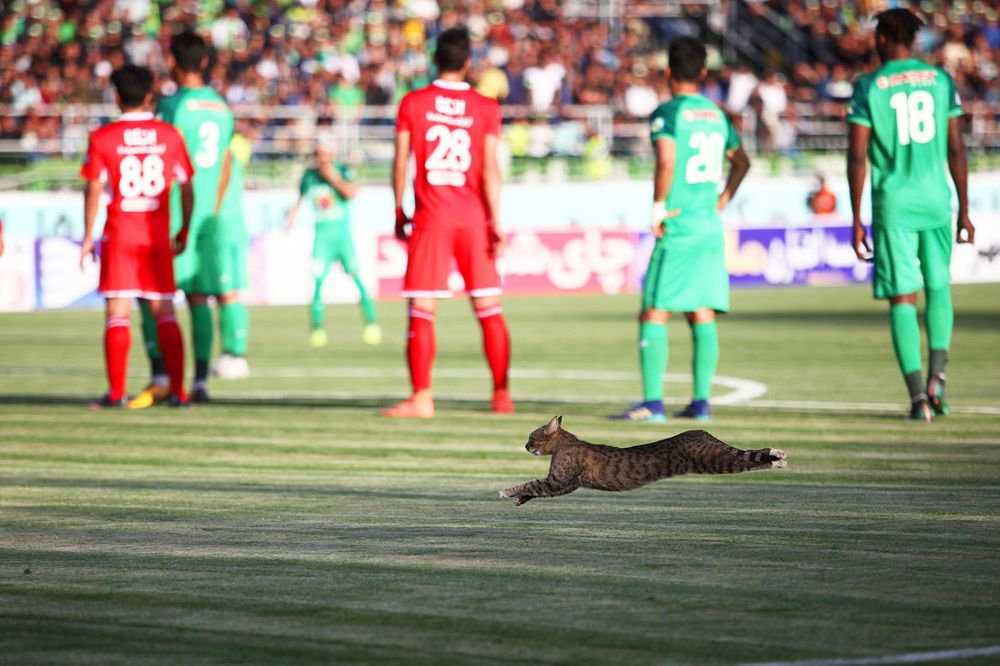 Photograph by mahdi karimi souderjani