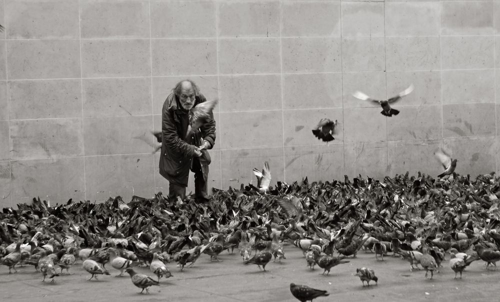 Фотография автора Никита Питерский